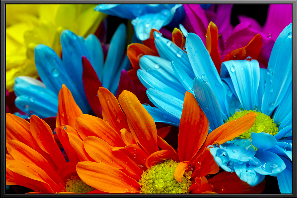 Tranh hoa - 002 (A5)