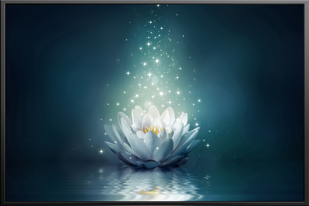 Tranh hoa - 006 (A5)