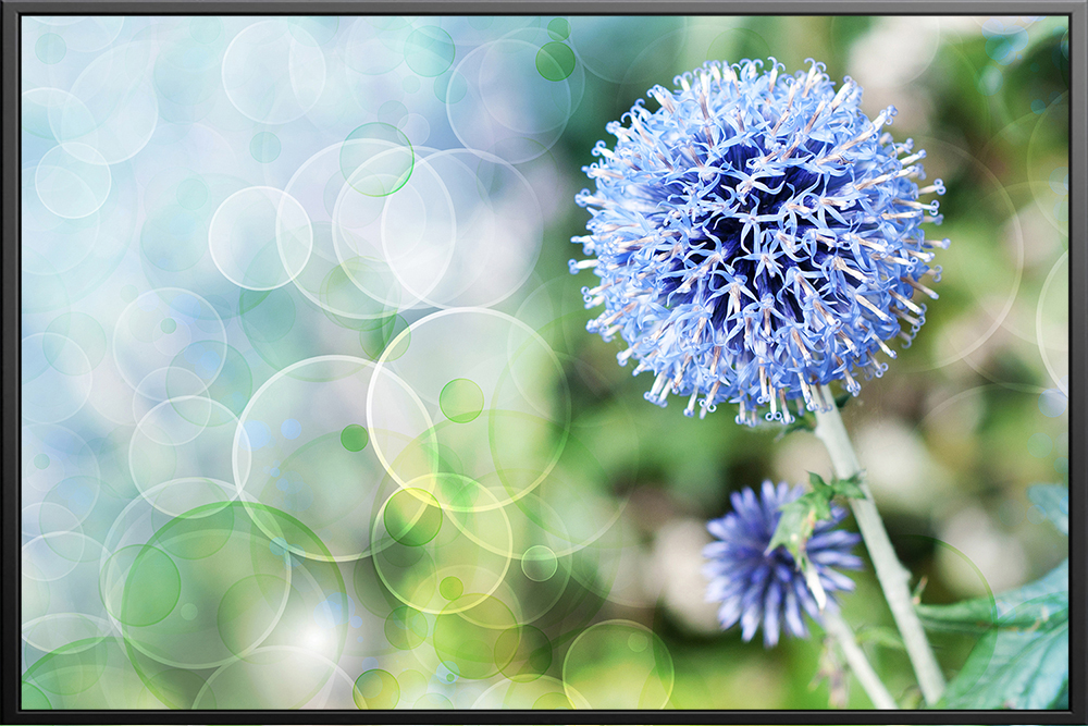 Tranh hoa - 008 (A5)