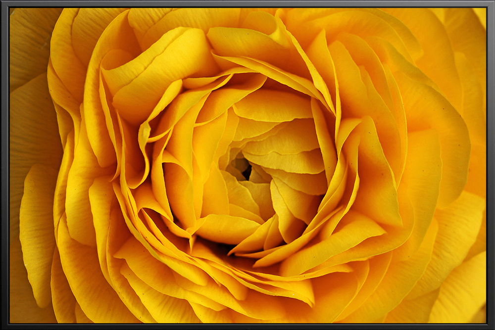 Tranh hoa - 009 (A5)